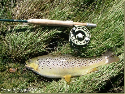 [20120424_Norfork%2520River%2520Edited_03_thumb%255B2%255D%255B2%255D.jpg]