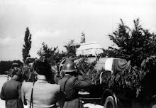 Obrázok 039.tif Obrázok 039.tif