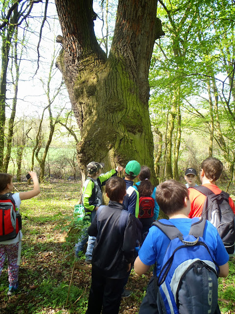 Za poznáním přírody lužní krajiny 12-13 (6).JPG