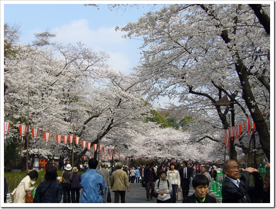 上野恩賜公園2