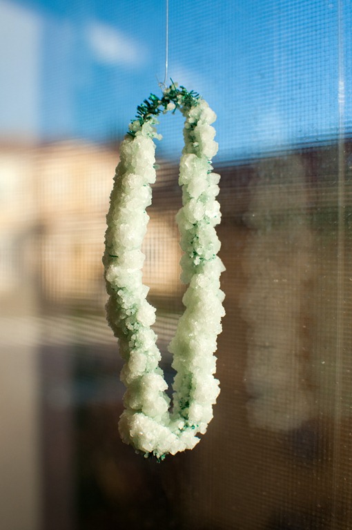 [DSC_7925_14.jpg]