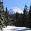 DSC_0250.JPG