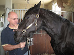 Naturally Martha's horses receive the best of care- the kind all horses deserve. They are visited regularly by the horse dentist...