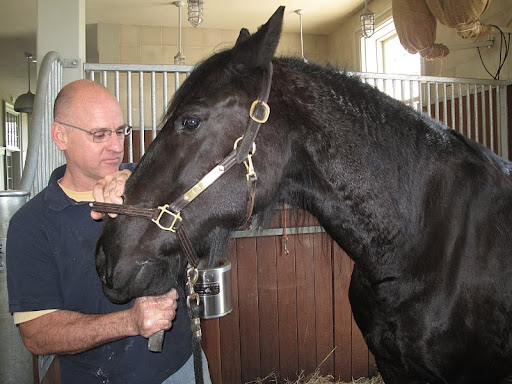 Naturally Martha's horses receive the best of care- the kind all horses deserve. They are visited regularly by the horse dentist...