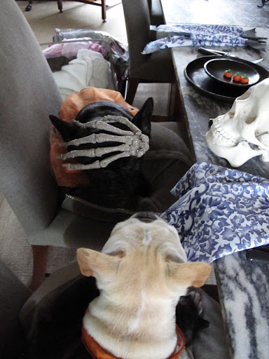 But Franny! You have the hand of a skeleton on your head!