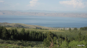 IMG_4267.jpg