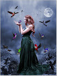 Night Magic Birds
