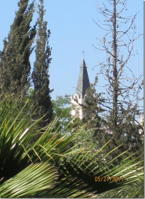 IMG_1173 IMG_1173