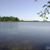 dsc02975.jpg