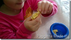 IMG_00000246 IMG_00000246