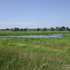 rozlewiska w Uradzie dsc05776.jpg