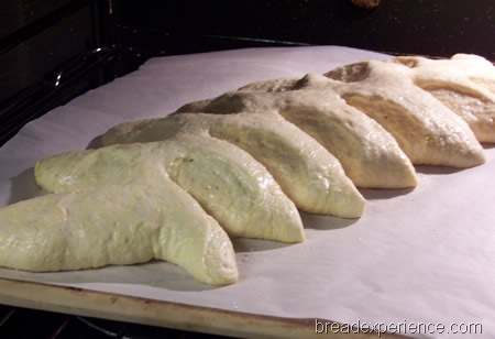 [corn-stalk-rolls%2520068%255B1%255D.jpg]