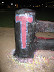 Fence Painting