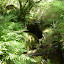 DSC06481.JPG