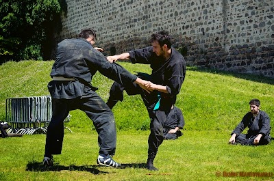 Enbu-castello09.jpg