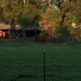 from PKs house.jpg
