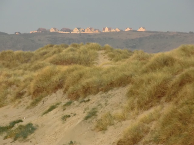 [november420110333.jpg]