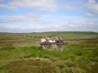 Grouse Shooting Hides