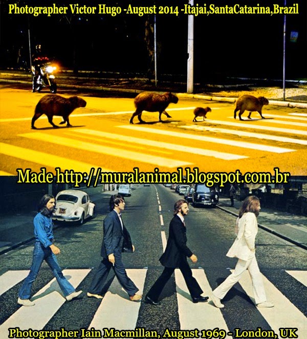 [capybara-cover-beatles3.jpg]