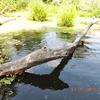DSCN2960.JPG