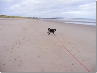 Warkworth (24)