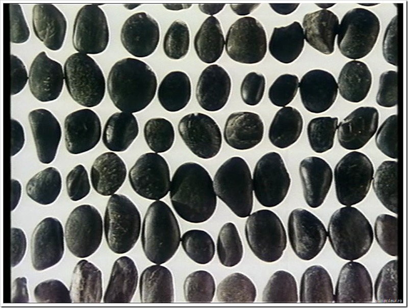 jan svankmajer a game with stones 1965 emmerdeur_102 jan svankmajer a game with stones 1965 emmerdeur_102