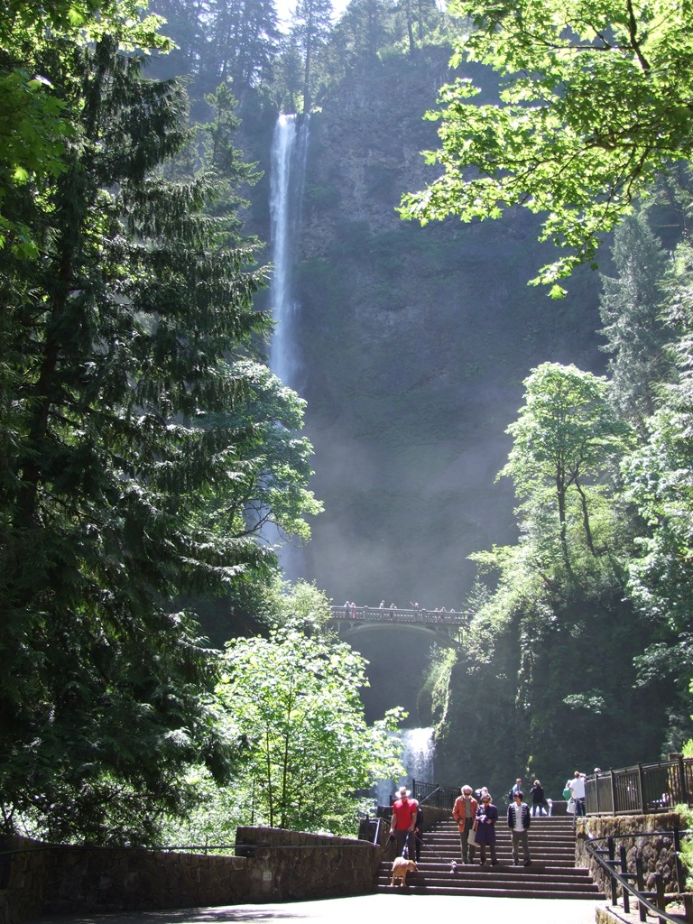 [DSCF71416.jpg]