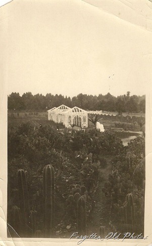 Mystery snapshot one Erhard Antiques Mystery snapshot one Erhard Antiques