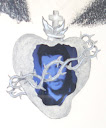 Sanctus Gevarus, video detail