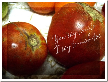 tomato tomato