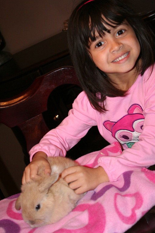 [IMG_5849%255B4%255D.jpg]