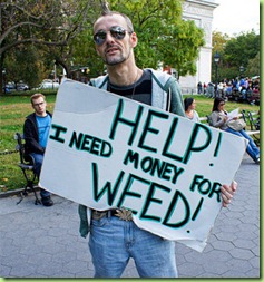 occupy weed