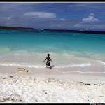 IMG_8738.JPG