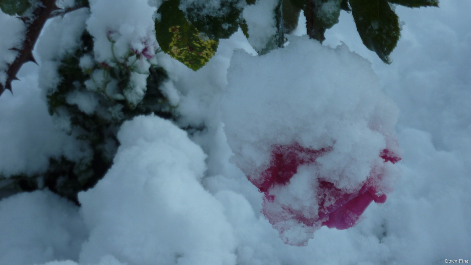 [Blizzard%2520Oct%252029_019%255B3%255D.jpg]