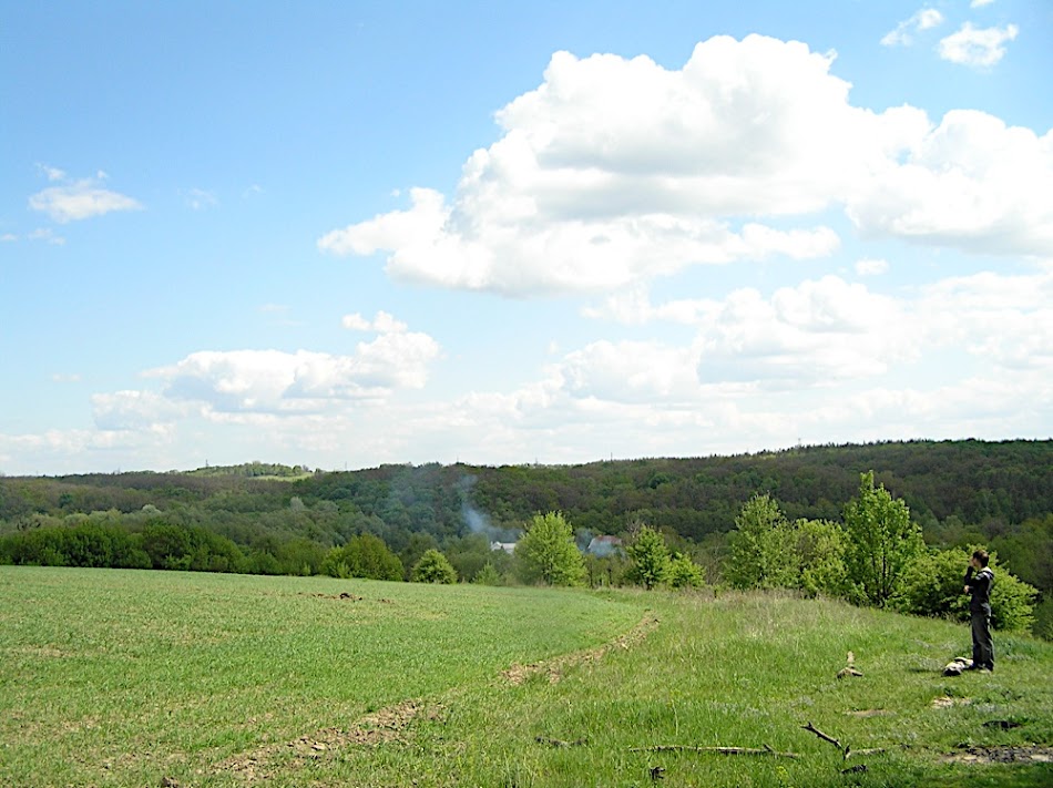 P5140022.JPG
