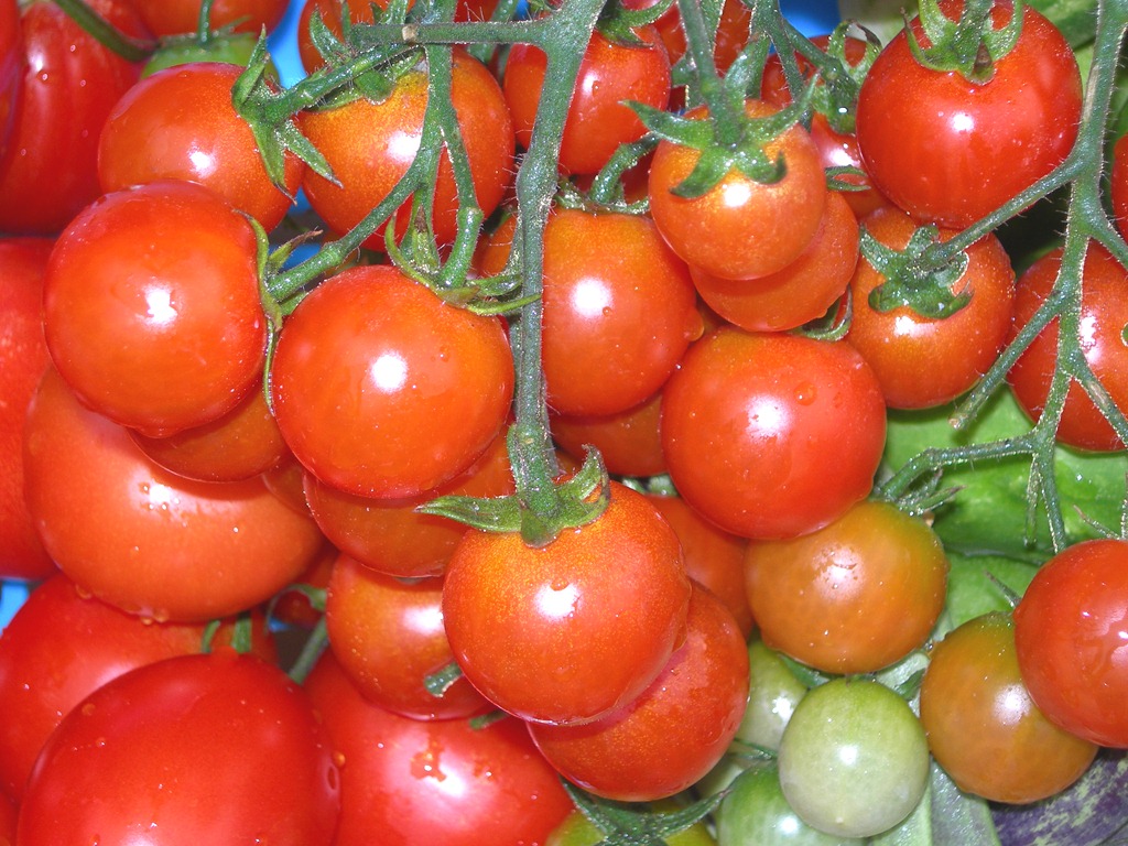 [DSCN4213%255B11%255D.jpg]