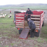 fjallferð 2010