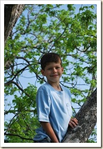 peter in pecan tree
