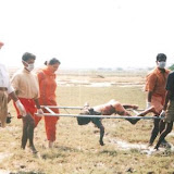 Seva Activities