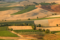 Panoramic view from Montalcino, near Siena