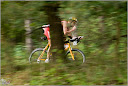 Roth_2010_188.jpg