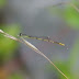 P1110836