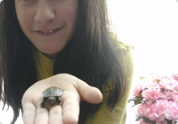TORT1 TORT1
