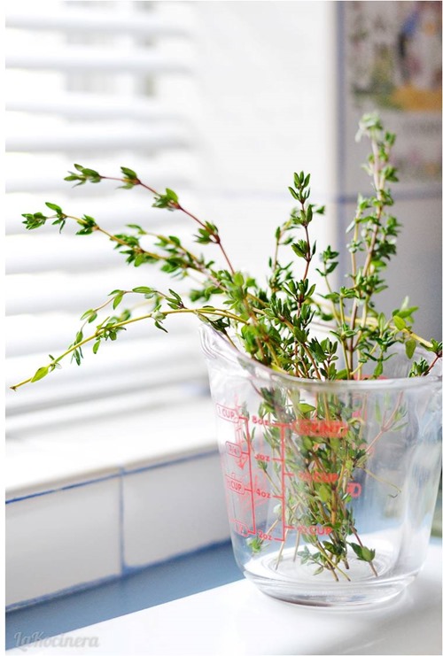 thyme 1 thyme 1