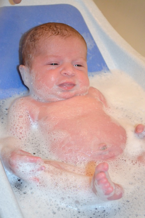 [DSC_3827%255B4%255D.jpg]