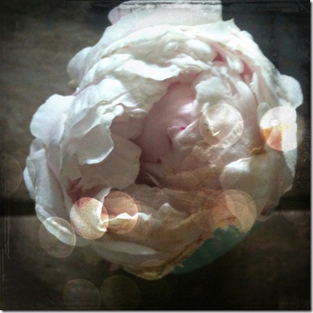 photo (1)