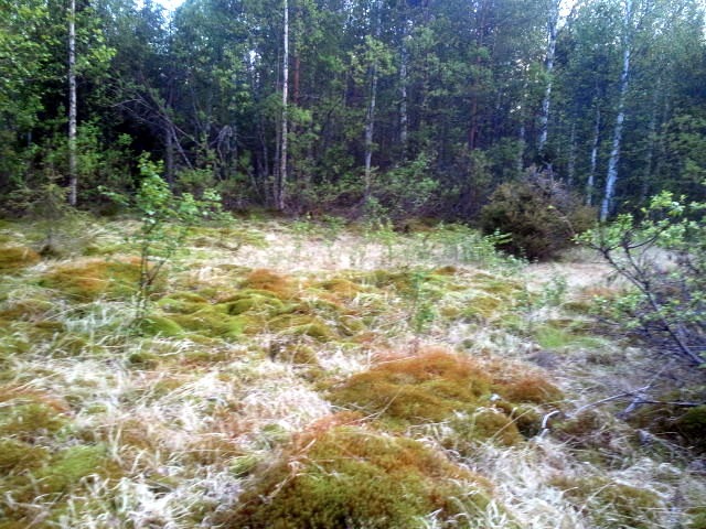 [2011-06-08%25252020.15.38%255B8%255D.jpg]