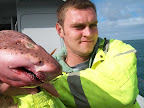 Image140.jpg