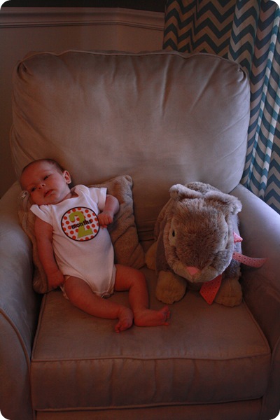 IMG_8712 IMG_8712