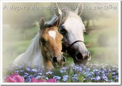 cavalos imagem deusaindafala.blogspot